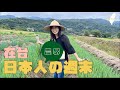 【宜蘭】日本人在台灣當農婦｜台湾で農業してきました！