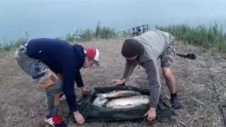 пруд Черноморец 27.08.19г. карпфишинг-4.