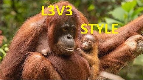 Transformice - WORLD RECORDS #3