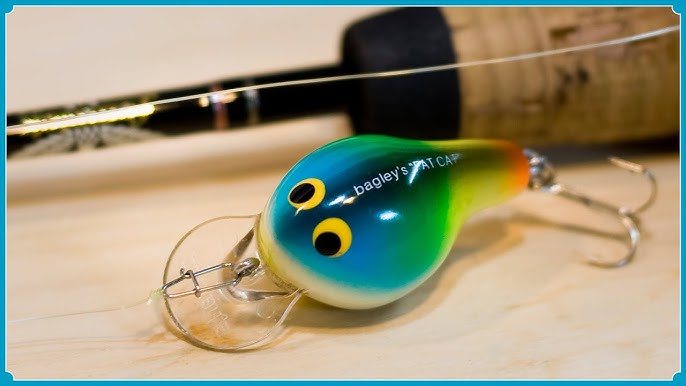 Is this the coolest crankbait from the '80s? (feat. Bagley's Fat