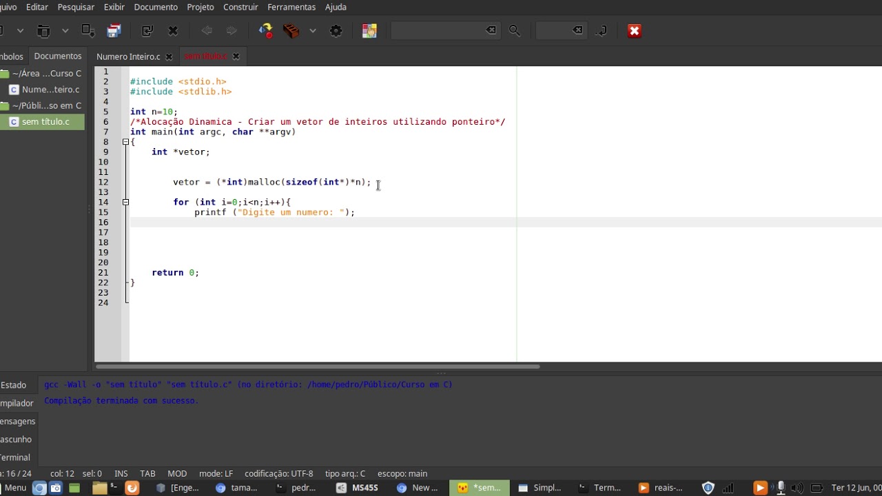 Alocação Dinamica - Vetor com ponteiro - PROGRAMANDO EM C - YouTube