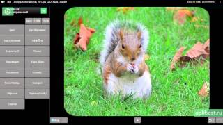 Обзор - Photo Editor - для Андроид screenshot 3
