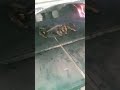 يانهار أبيض التليفون 🔥 ولععععععع 🔥😥😥😥