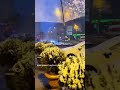 ناصيف زيتون ولا الوفا سعرو غلي حالات جميلة