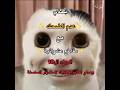 تحدي عدم الضحك مع مقاطع عشوائية الجزء ال10 #توته #اكسبلور #باور #بدون_موسيقى #تريد_تضحك_تابع_توته