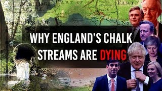 Why England's Chalk Streams are Dying