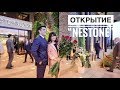 "NESTONE" ochilish marosimi! Opening of "NESTONE"!