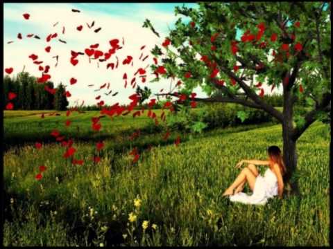 Anastasia Lazariuc - C est la vie
