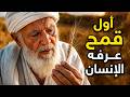 الإينكورن أقدم قمح نجا من عصر التهجين لماذا عاد من جديد 