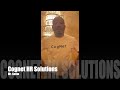 Cognet HR Solutions (Mr Salim)