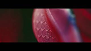 Fresh Foam LAZR Hypo screenshot 2