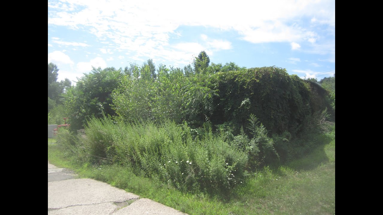 Small Repair Shop YouTube