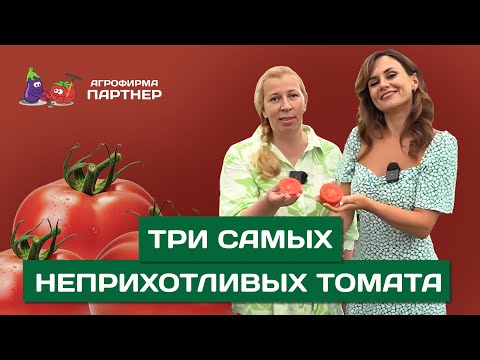 БЕССМЕННЫЕ ХИТЫ ТОМАТОВ АГРОФИРМЫ ПАРТНЕР