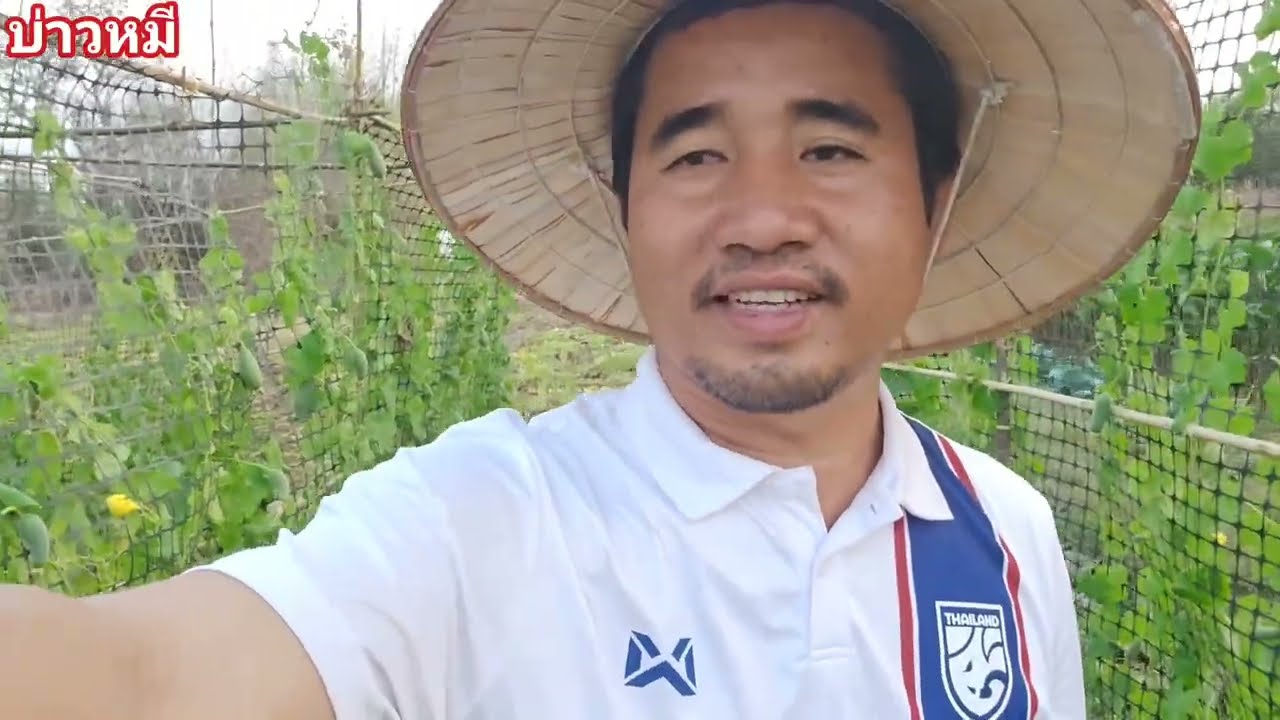 พืชผักที่ปลูกไว้.