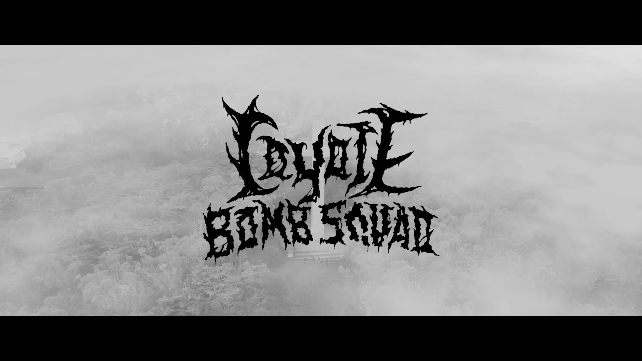 Quiet up to the Forest // Coyote Bomb Squad