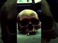 The Windover Archaeological Site in Titusville Florida: Part 1 #historicaltidbits