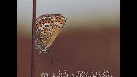 سورة القارعة 🍃