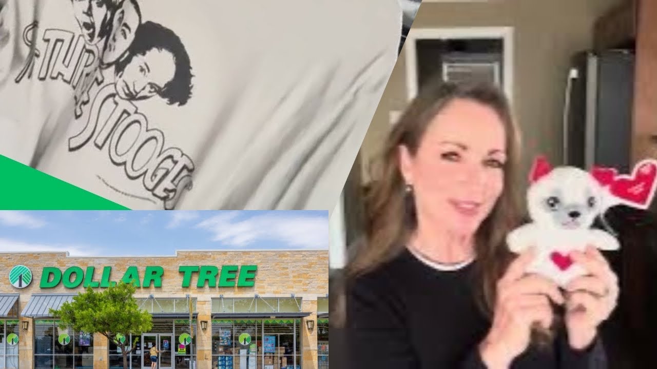 Dollar Tree. Watch my dogs test DT toys. 