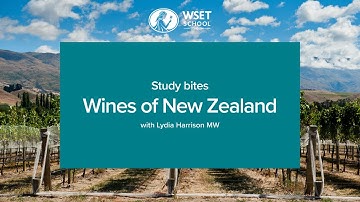 Study bites: wines of New Zealand (WSET Level 3 wine)