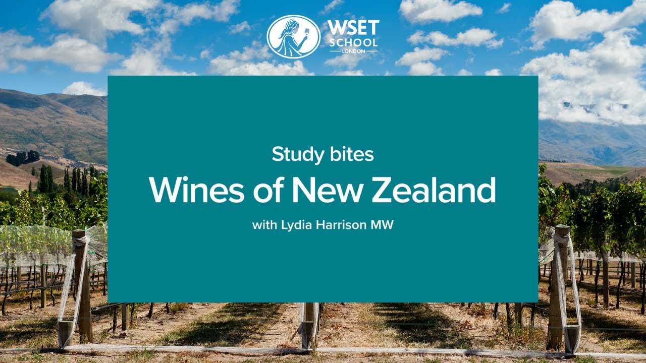 Study bites: wines of New Zealand (WSET Level 3 wine)