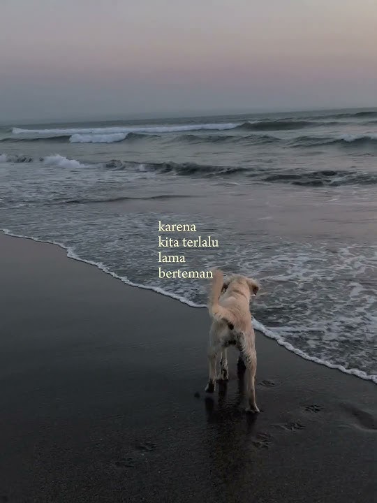 Kelamaan teman tapi aesthetic #Shorts