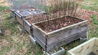 Growing trees in air pruning beds