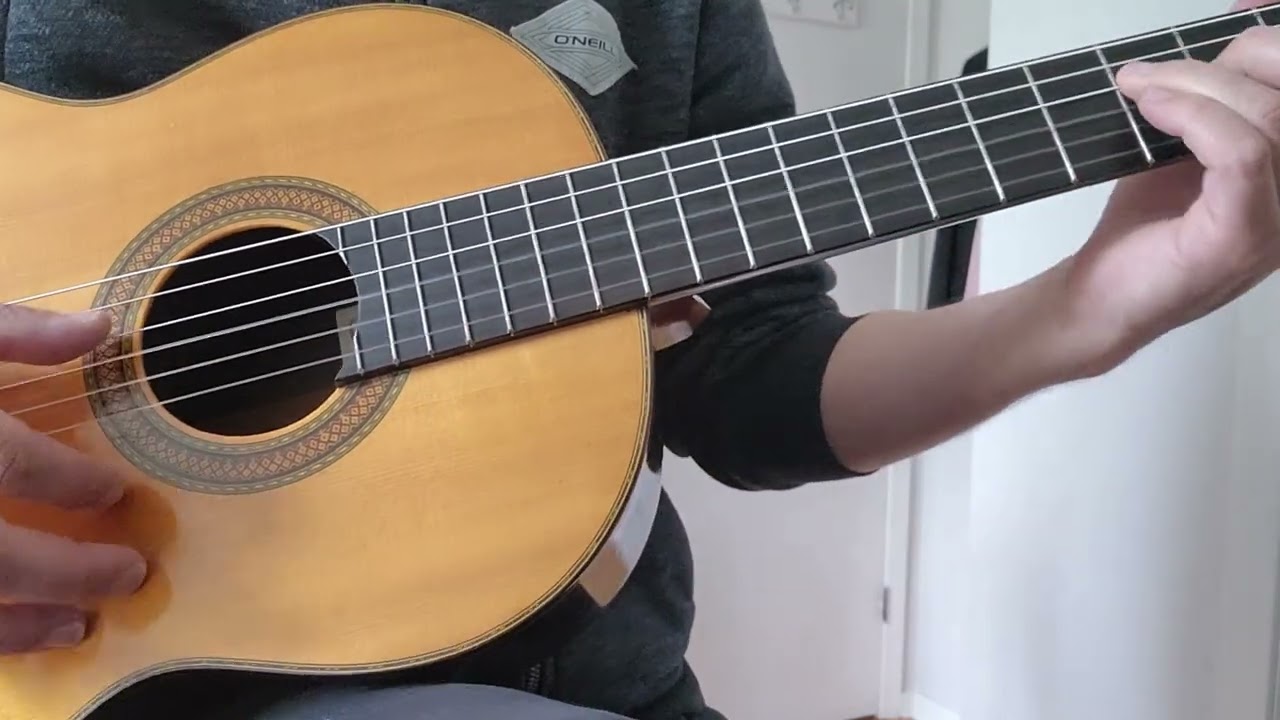 H.T. Hirose No. 10 Handmade Classical Guitar Demo - YouTube
