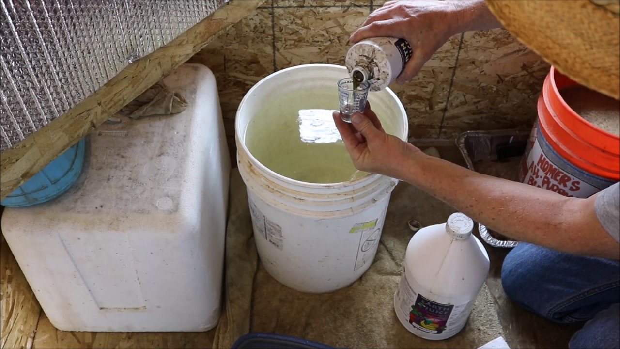 Great Compost Tea Recipe pt.2 (The Feeding)