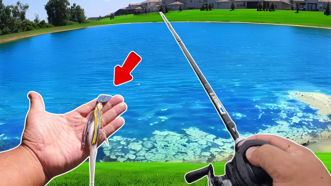 WINDY Days Are the SECRET to Catching MONSTER Bass!