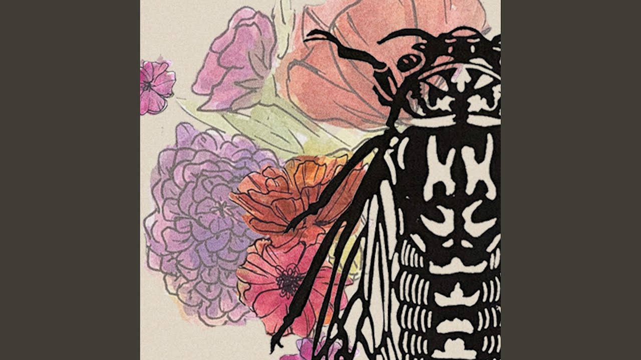 Welcome to Warren Records (feat. Jamie McKenzie) (Live)