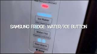 SAMSUNG FRIDGE: How to use the ICE/WATER Button