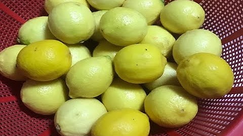 Here’s How I Store LEMONS for 1 YEAR Without Spoiling!