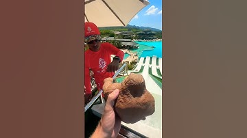 Funny monkey makes a video with a lifeguard🤣