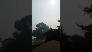 Morning Report Thursday