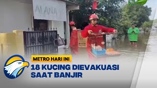 18 Kucing Diselamatkan Saat Banjir Jakarta Utara - [Metro Siang]