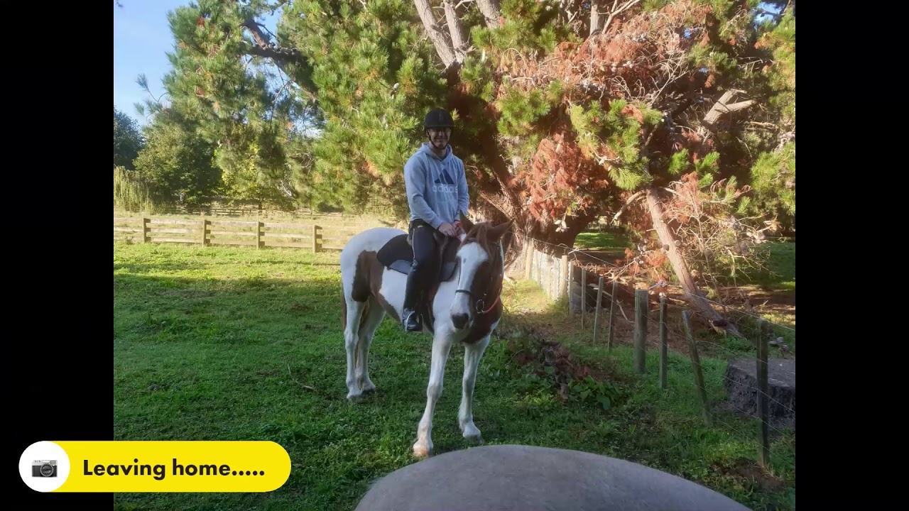 Logans first horse ride on Tonto YouTube