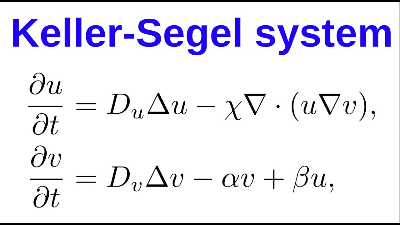 Keller-Segel system