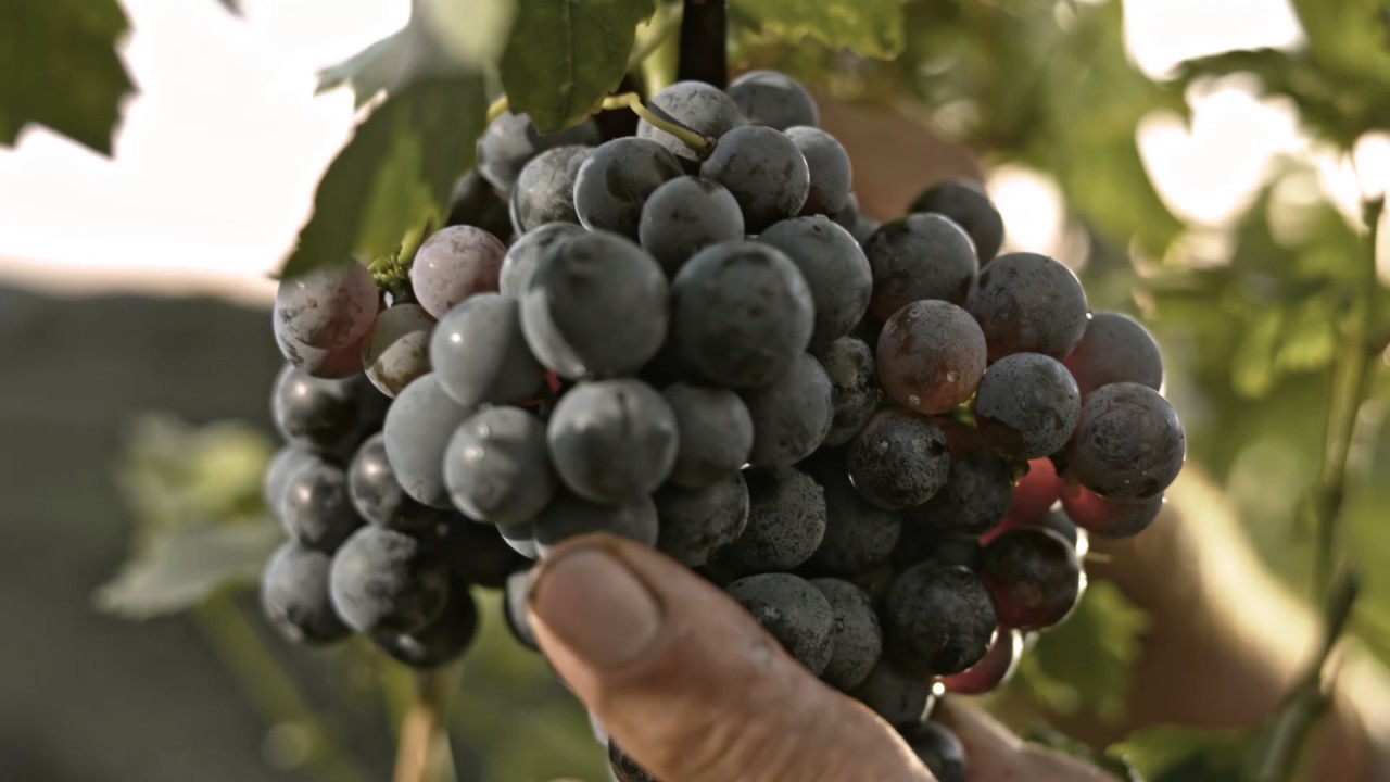 SCEGLIERE UN CONSULENTE FINANZIARIO. ECCO IL TUO MIGLIOR INVESTIMENTO.