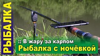 Рыбалка с ночевкой. В жару за карпом на платник, тестирую новое снаряжение