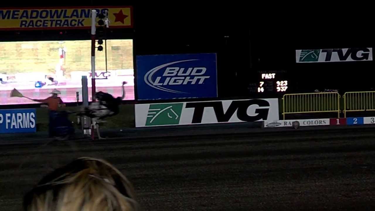 2nd Annual Ostrich Pace at The Meadowlands YouTube