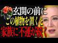 【美輪明宏】玄関にこの植物はNG!不運を呼び込み金運を断ち切る|人生哲学|名言|教え|偉人