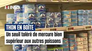 Thon En Boîte Une Seuil Toléré De Mercure Bien Supérieur Aux Autres Poissons