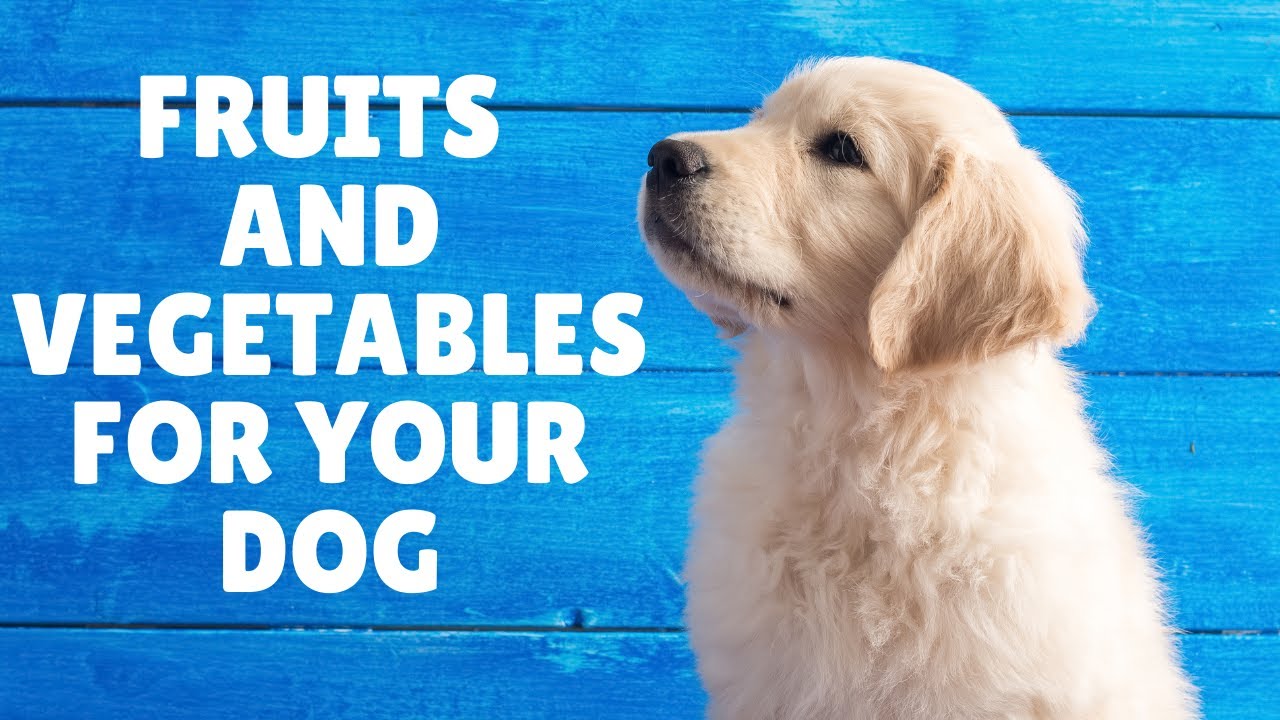 Is fruits and vegetables safe for dogs? YouTube