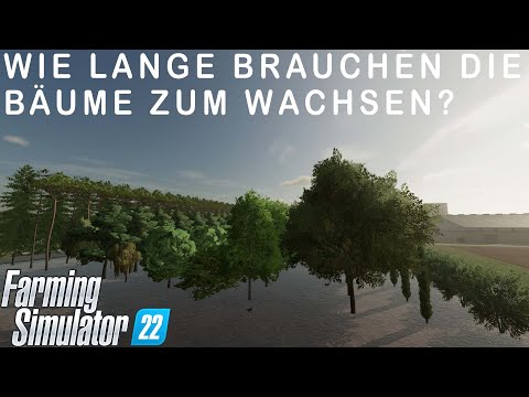 Video: Sind Setzlinge Bäume?