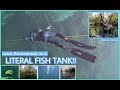 CRYSTAL CLEAR NATURAL SPRING | HUNDREDS OF TURTLES + MORE | FREEDIVING IN FLORIDA’S 70FT HOLE