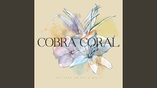 Video thumbnail of "Quarteto Cobra Coral - Cigana"