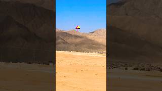 program kites flying 🤣 subscribe ❤️#viral #shorts #kite #flying #status #kiteground