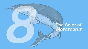 08 The Color of Mosasaurus | Join ZHAO Chuang in Drawing Ron the Mosasaurus