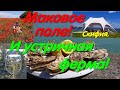 Устричная ферма. Огромное маковое поле. #Скифия. Тилигульский лиман. Коблево. Отдыхаем семьей. Море.