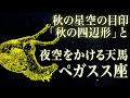 秋の星空の目印「秋の四辺形」と夜空をかける天馬「ペガスス座」